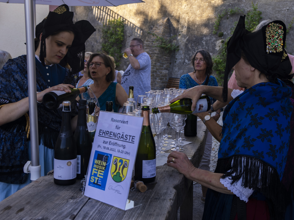 Stimmungsvoll und gut besucht war das Wein-Musik-Fest am Ebringer Schloss.