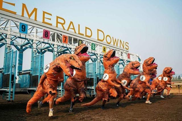 Dino-Rennen in den USA: 200 Menschen laufen als T-Rex verkleidet um die Wette