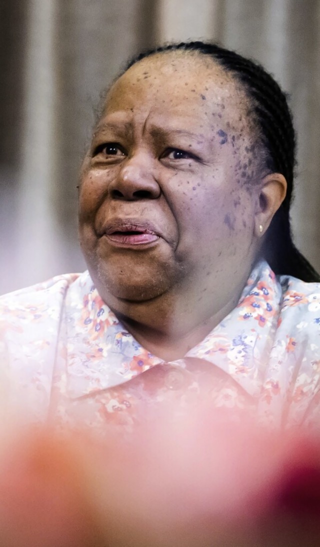 Naledi Pandor, Auenministerin von Sdafrika  | Foto: Christoph Soeder (dpa)