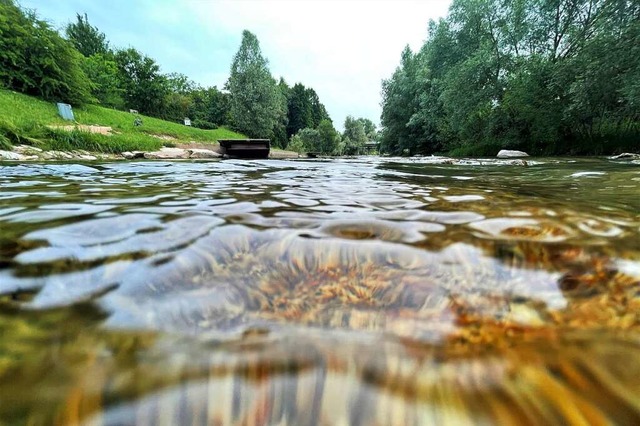 Aus den Flssen, Seen und Bchen im Kr...arf kein Wasser mehr entnommen werden.  | Foto: Barbara Ruda