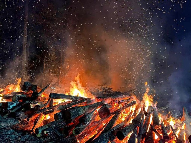 In der Nacht auf Dienstag hat es im Lrracher Wald gebrannt.  | Foto: Feuerwehr Lrrach