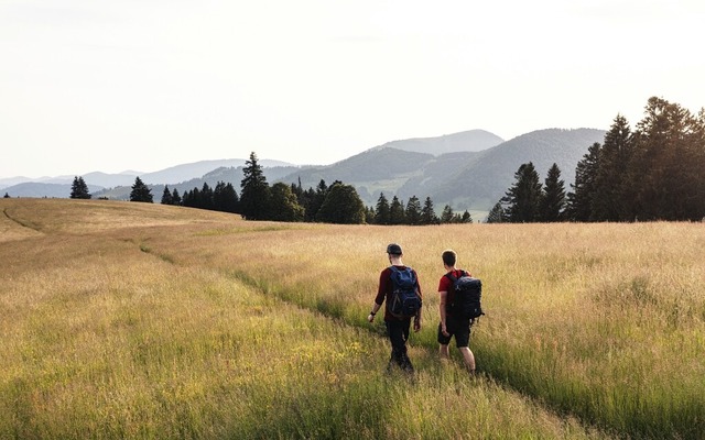   | Foto: Matthias Kupferschmidt /Schwarzwaldregion Belchen