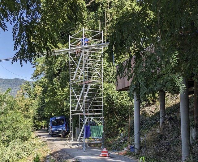 Der Fischergalgen am Rheinufer  wird  repariert.   | Foto: Nickolas Fahnrer