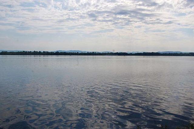 Warum sieben Gebude fr den See im franzsischen Plobsheim weichen mussten