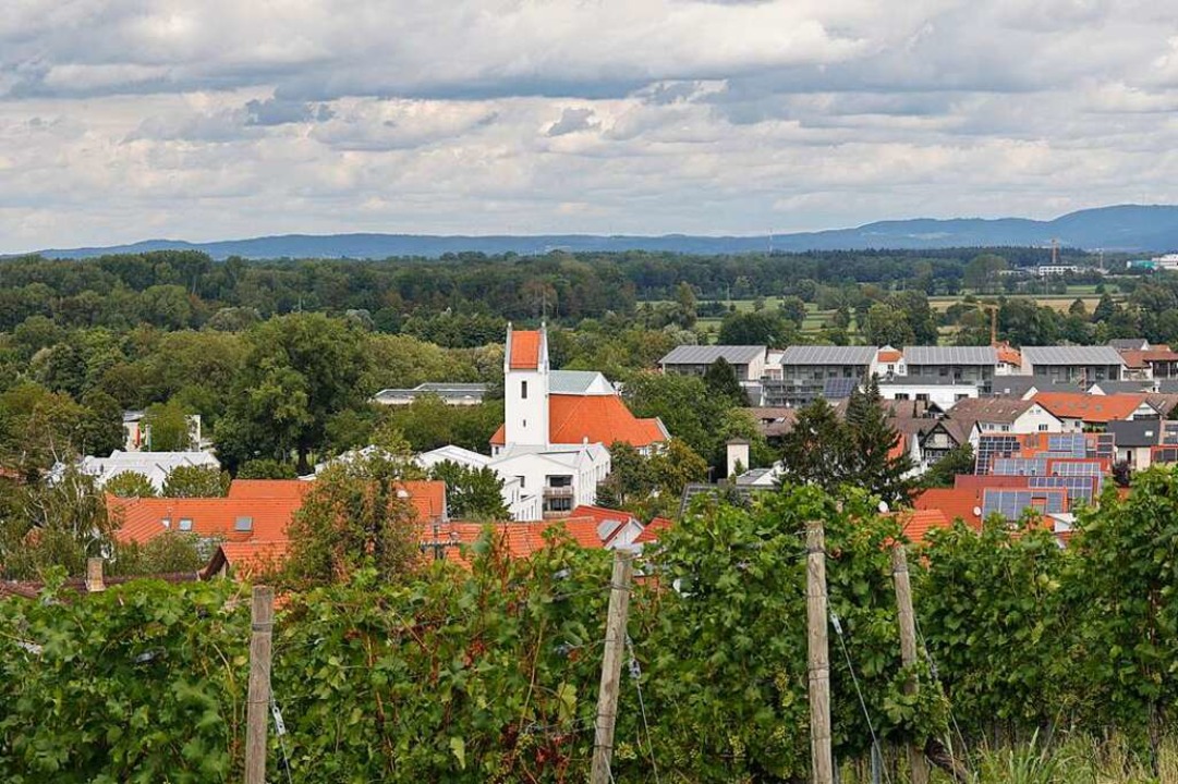 Reben und Weinbau spielen in Schallstadt eine große Rolle.  | Foto: Hubert Gemmert