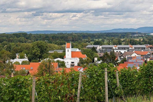 Reben und Weinbau spielen in Schallstadt eine groe Rolle.  | Foto: Hubert Gemmert
