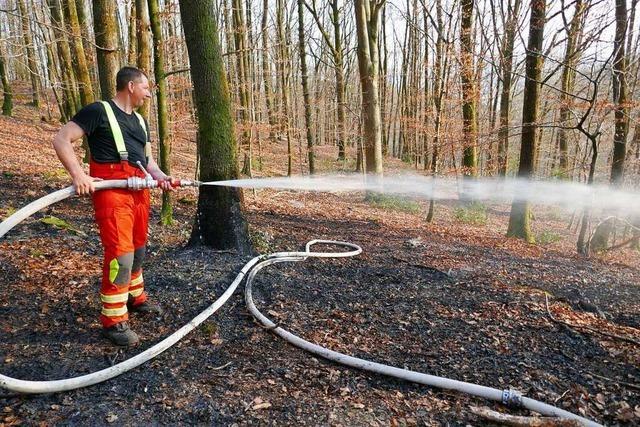 Rickenbachs Revierfrster warnt, Alu-Grillschalen im Wald zu verwenden