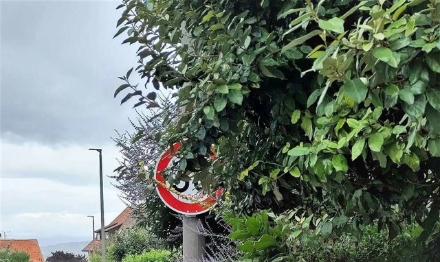 Verkehrsschilder drfen durch Struche...r die Pflanzen zurckschneiden mssen.  | Foto: Stadt Weil am Rhein