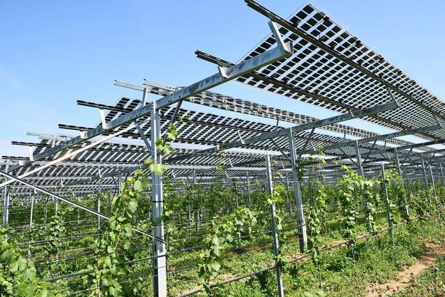 Die Solarmodule sind lngst installiert und gehen demnchst in Betrieb.  | Foto: Rita Eggstein