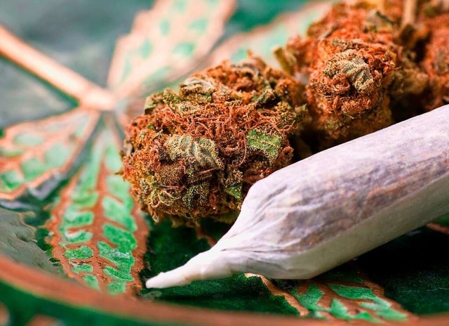 Rund ein Kilogramm Marihuana haben die Beamten gefunden. (Symbolbild)  | Foto: ststoev (stock.adobe.com)