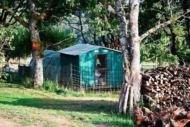 Hühner-Hütte in Nordschwaben sorgt im Ortschaftsrat für Ärger