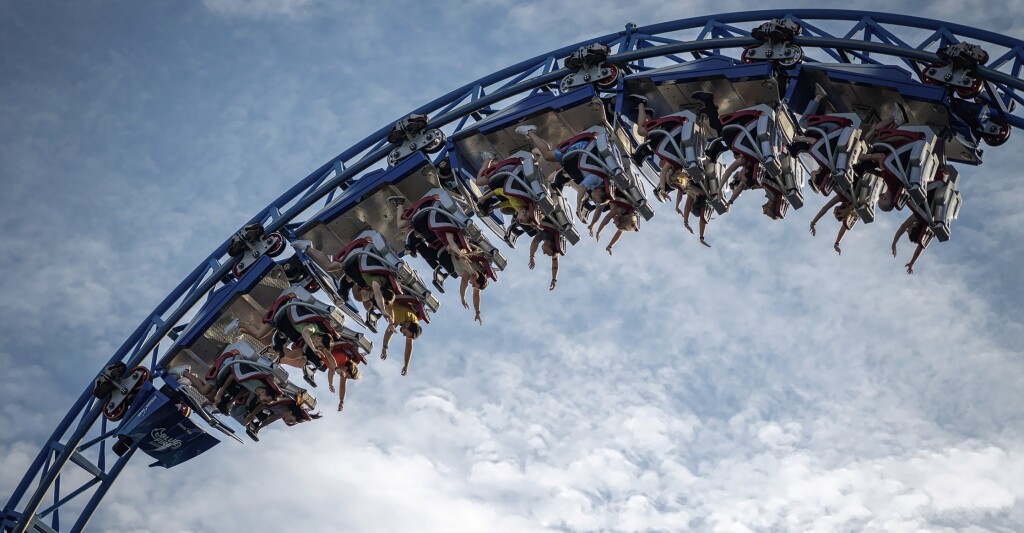 Belly or Bust: Designing Roller Coasters for Every Adventurer