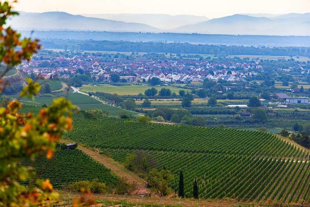 Der Weinbau  ist einer der Hauptgrnde... Rolle fr die Attraktivitt des Orts.  | Foto: Hubert Gemmert