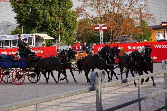 Vom Arbeitstier bis noblen Sechsergespann: Eurocheval in Offenburg ist erffnet