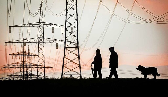 Das Hochspannungsstromnetz zwischen Ri...uch fr die Energiewende  fit gemacht.  | Foto: Frank Rumpenhorst