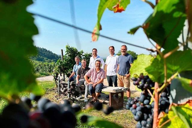 23. Offenburger Weinwandertag: Weinbaubetriebe laden zu Genieer-Tour durchs Rebland