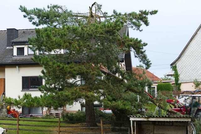 Einen mchtigen Baum in der Ortsmitte ... hat das Unwetter die Spitze gekostet.  | Foto: Verena Pichler
