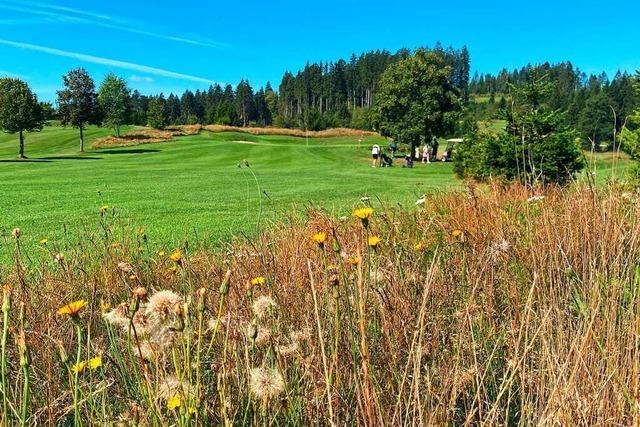 Das Beispiel Titisee zeigt, wie Artenvielfalt auf einem Golfplatz gelingen kann