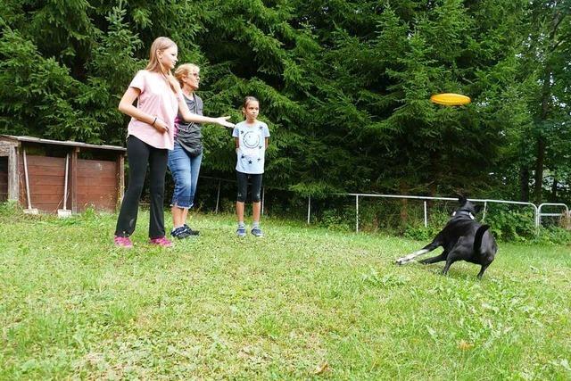 Warum das Ferienprogramm der Hundefreunde Bonndorf so beliebt ist