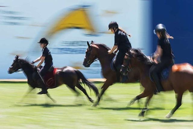 Warum die Eurocheval in Offenburg auch fr das Haupt- und Landesgestt Marbach wichtig ist