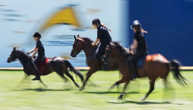 Die Eurocheval ist fr die gesamte Branche von Bedeutung.  | Foto: Patrick Seeger