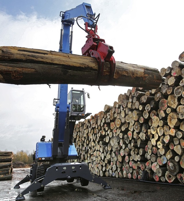 Buchenstmme sollen den Grundstoff fr Textilien liefern.  | Foto: Bernd Wstneck