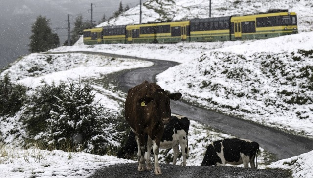   | Foto: Peter Schneider (dpa)