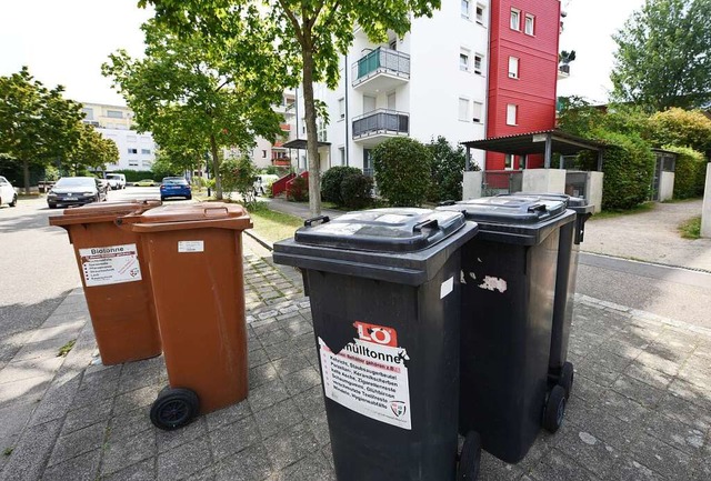 Wenn ein Mieter die Mllgebhren nicht...sich die Rechnung ber Jahre addieren.  | Foto: Rita Eggstein