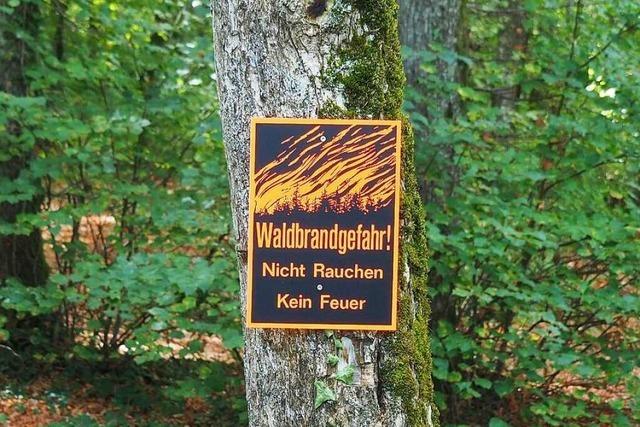 Landkreis Waldshut hebt das Feuerverbot im Wald auf