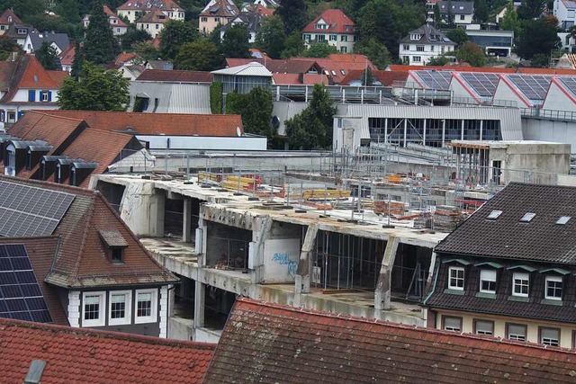 Die Betonsanierung ist zu laut. Das La...Lwentor vorlufig  einstellen lassen.  | Foto: Ulrich Spitzmller