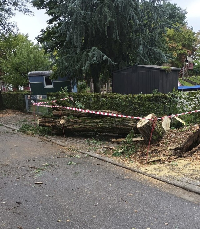 Des Unwetter in der Nacht zum Samstag ...n, dauert noch an, wie hier am Brgle.  | Foto: Stefan Schpflin