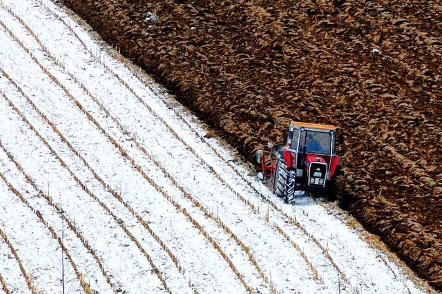 Auf den Zeitpunkt des Pflgens kommt e...ember bis Mitte Dezember (Symbolbild).  | Foto: Siegfried Gollrad