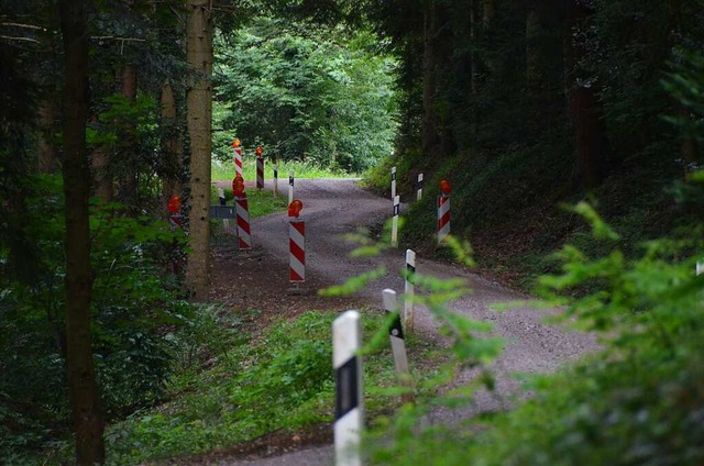 Auf 1,6 Kilometern fhrt die Umleitung der Schwarzenbergstrae durch den Wald.  | Foto: Felix Lieschke-Salunkhe