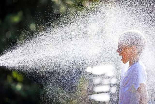 Am 9. Juni wurde die diesjhrige Rekordtemperatur von 38 Grad Celsius gemessen.  | Foto: Jens Bttner (dpa)