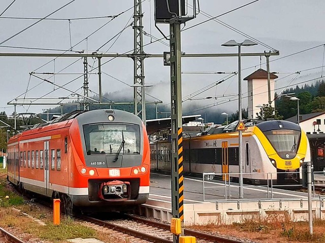 Ein Drittel der neuen gelben S-Bahn-Z...sollen aber vorerst nicht einspringen.  | Foto: Klaus Hr 