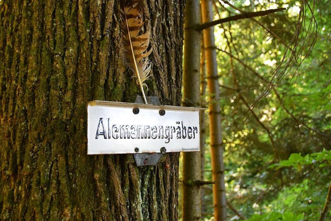 Die Alemannengräber sind eine Station auf dem Archäologiepfad in Ehrenkirchen.  | Foto: Sophia Hesser