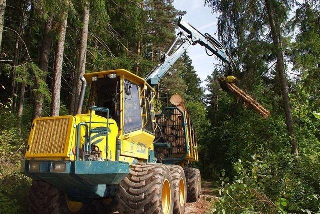 Der Bau des neuen Forstbetriebshofs fr Kenzingen kommt voran