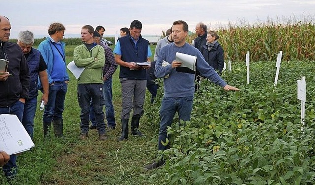 Feldtag auf dem ko-Versuchsfeld bei Forchheim  | Foto: LTZ Augustenberg