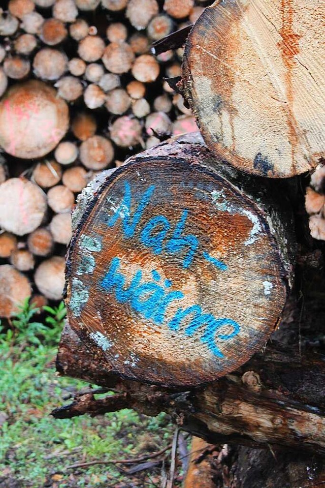 Deutliche Kennzeichnung: Das Lffinger Holzlager ist gut gefllt.  | Foto: Christa Maier