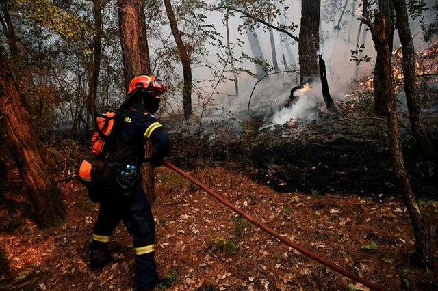 Hunderte Feuerwehrleute versuchen, die Feuer einzudmmen.  | Foto: SAKIS MITROLIDIS (AFP)