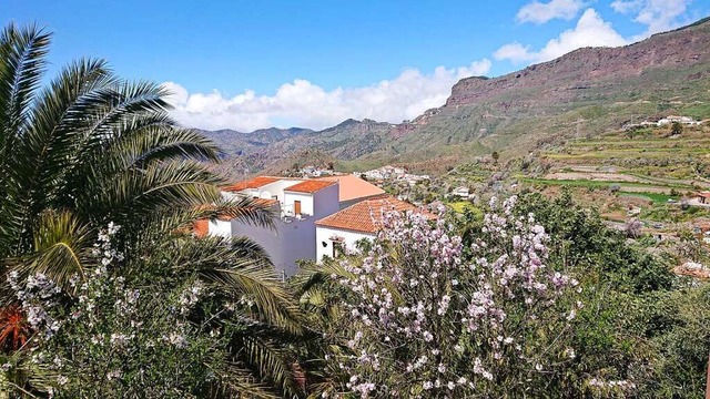 Mandelblte in den Bergen von Gran Canaria  | Foto: Tina Ferkau