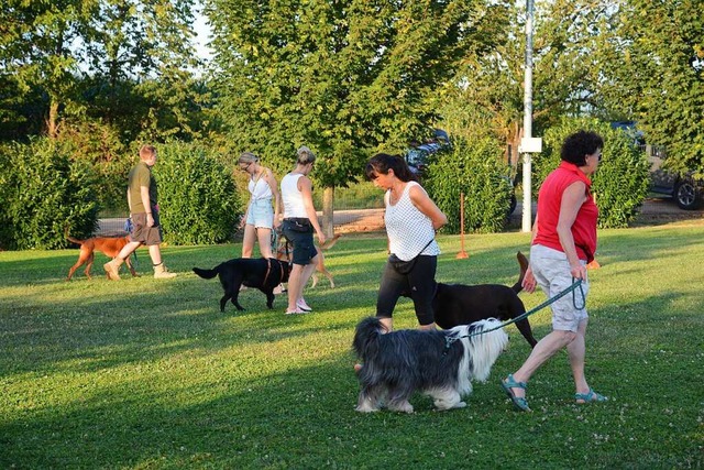 An lockerer Leine aneinander vorbeigehen gehrt zum Hunde-Einmaleins.  | Foto: Annette Mahro