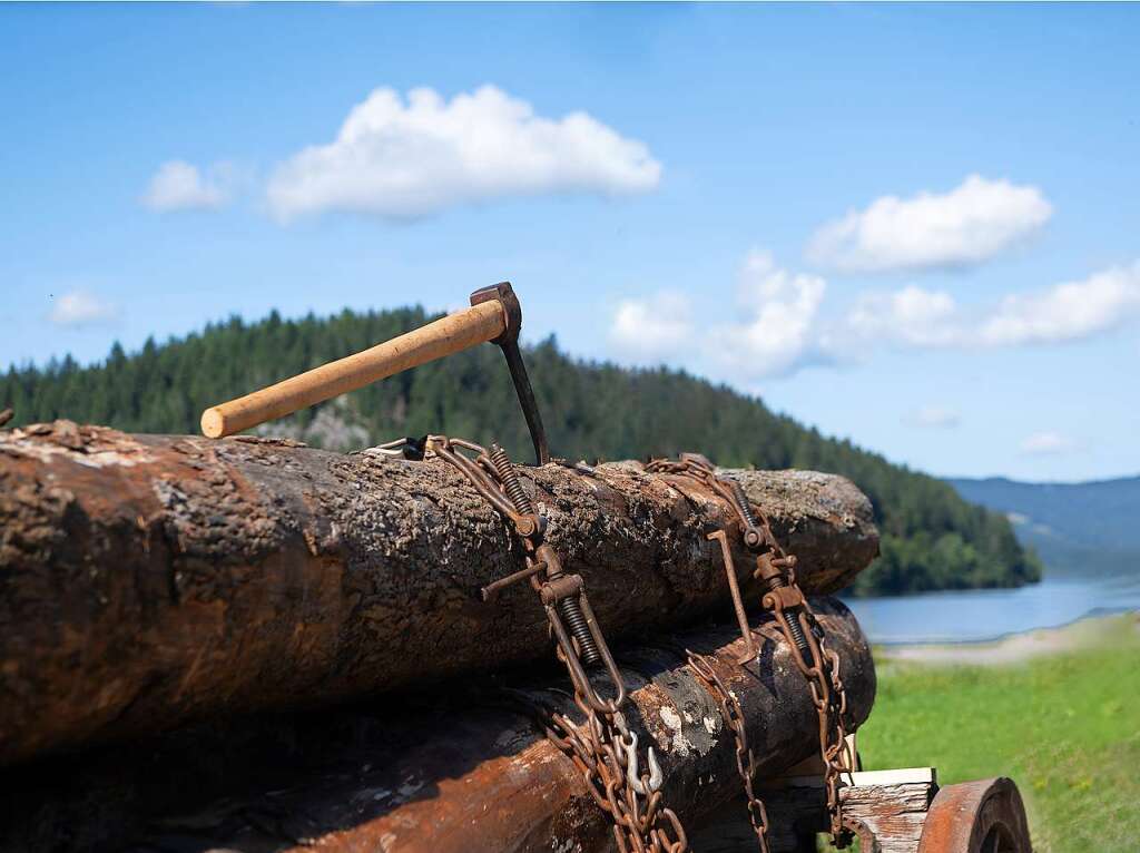 Das Motto ist Programm bei der Veranstaltung Kaltblutpferde im Einsatz am Wochenende in Schluchsee. Impressionen vom Wochenende.