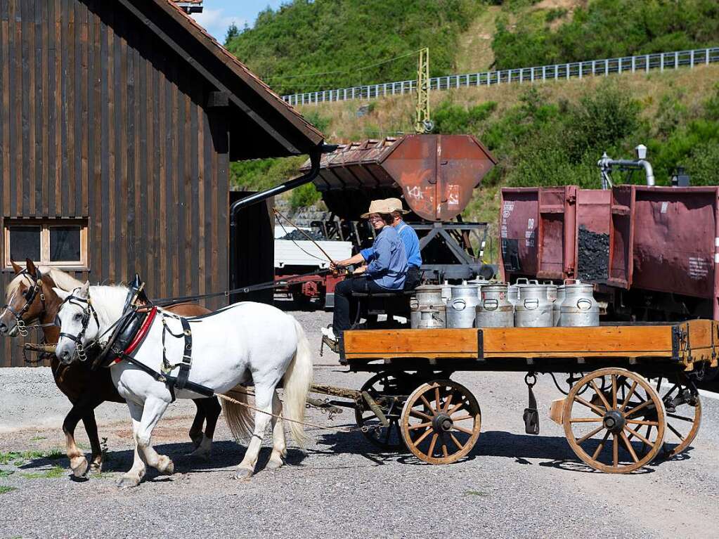 Das Motto ist Programm bei der Veranstaltung Kaltblutpferde im Einsatz am Wochenende in Schluchsee. Impressionen vom Wochenende.