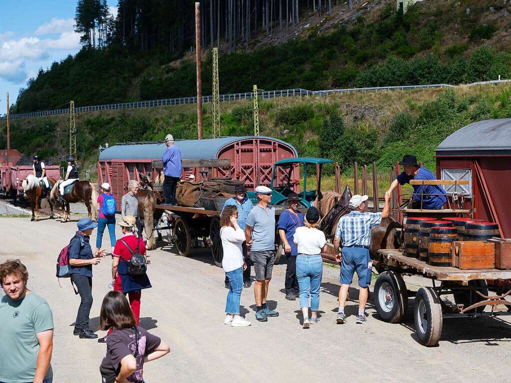 Das Motto ist Programm bei der Veranstaltung Kaltblutpferde im Einsatz am Wochenende in Schluchsee. Impressionen vom Wochenende.