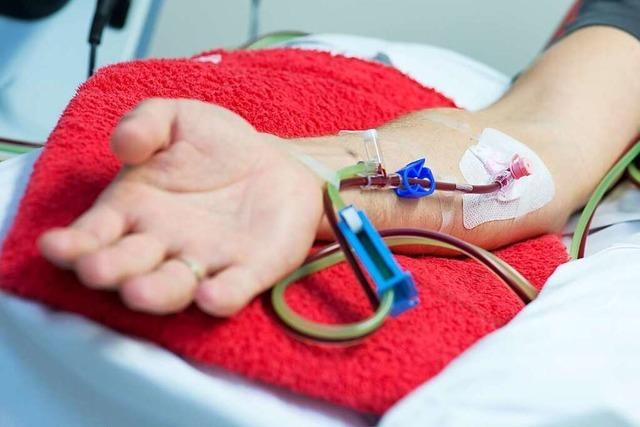 Neue Regeln erleichtert Blutspenden für Homosexuelle