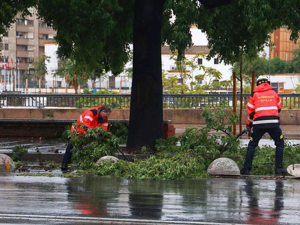 Einsatzkrfte beseitigen herabfallende ste bei starken Regenfllen in Sevilla.