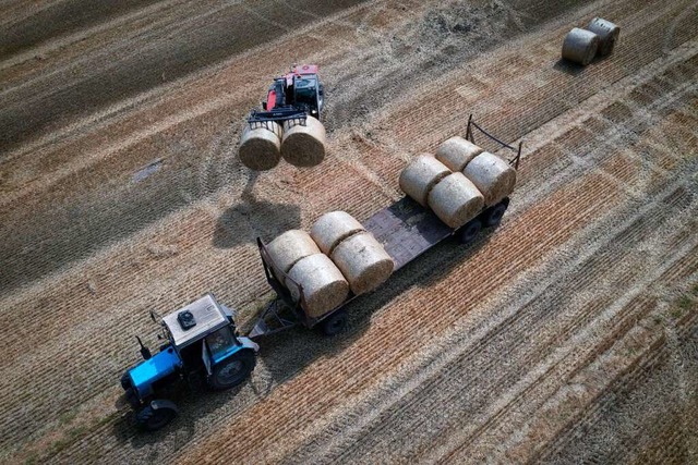 Die Ukraine ist ein wichtiger Getreideproduzent.  | Foto: Efrem Lukatsky (dpa)