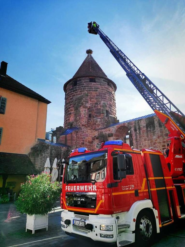 Die  Reinigung des Storchennestes im  September 2022  | Foto: Stadt Lahr