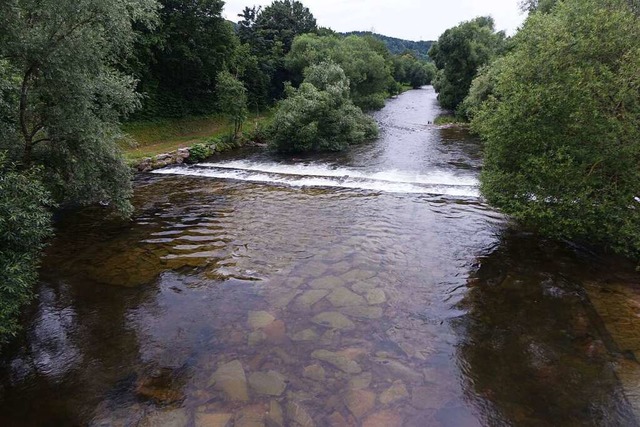 Auch um die Nutzung des Wassers in der...hopfheimer &#8222;Wasserwochen&#8220;.  | Foto: Roswitha Frey